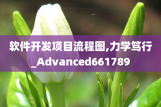 软件开发项目流程图,力学笃行_Advanced661789