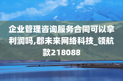 企业管理咨询服务合同可以拿利润吗,郡未来网络科技_领航款218088