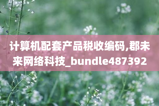 计算机配套产品税收编码,郡未来网络科技_bundle487392