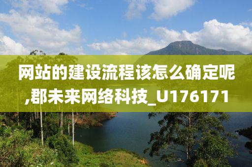 网站的建设流程该怎么确定呢,郡未来网络科技_U176171