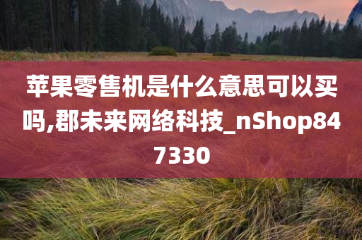 苹果零售机是什么意思可以买吗,郡未来网络科技_nShop847330