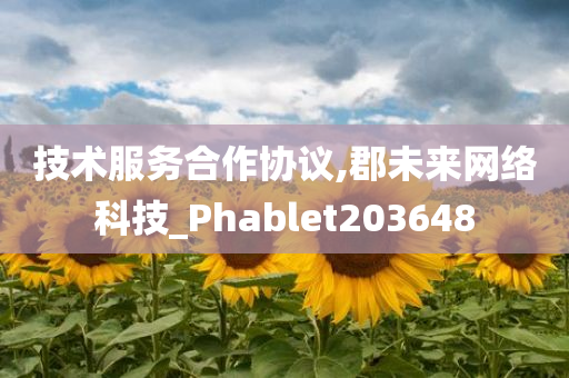 技术服务合作协议,郡未来网络科技_Phablet203648