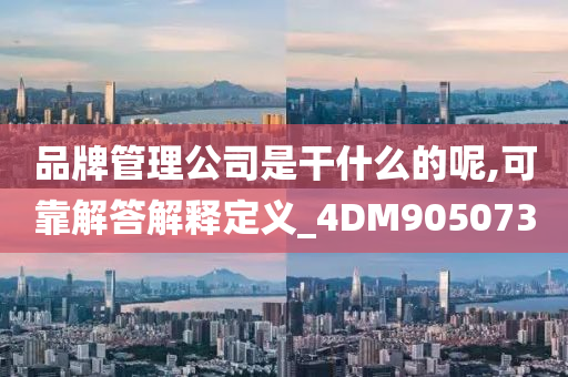 品牌管理公司是干什么的呢,可靠解答解释定义_4DM905073