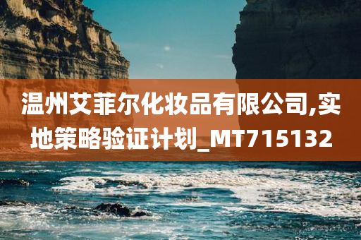 温州艾菲尔化妆品有限公司,实地策略验证计划_MT715132