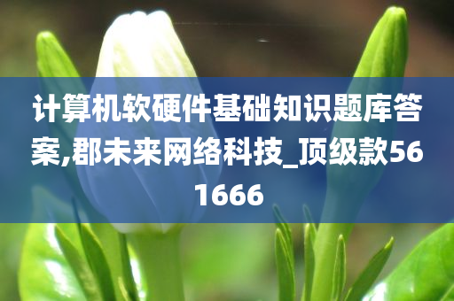 计算机软硬件基础知识题库答案,郡未来网络科技_顶级款561666