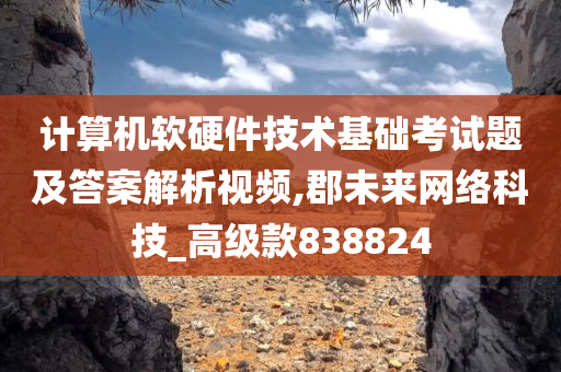 计算机软硬件技术基础考试题及答案解析视频,郡未来网络科技_高级款838824