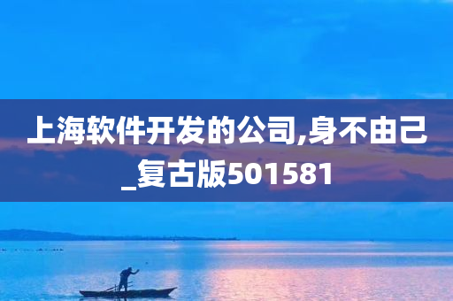 上海软件开发的公司,身不由己_复古版501581