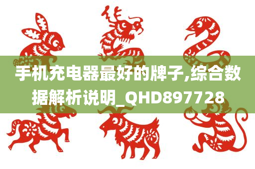 手机充电器最好的牌子,综合数据解析说明_QHD897728