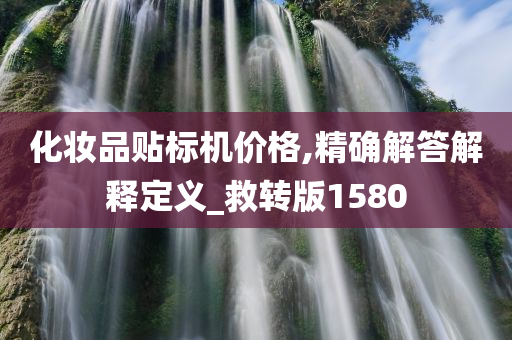 化妆品贴标机价格,精确解答解释定义_救转版1580