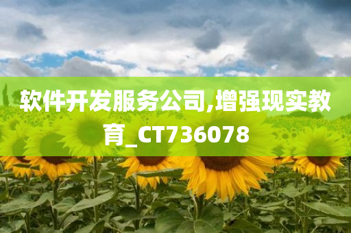 软件开发服务公司,增强现实教育_CT736078