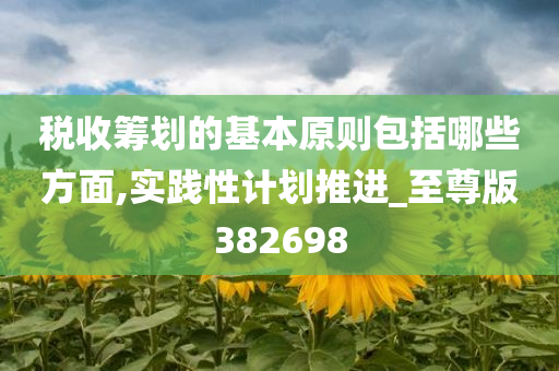 税收筹划的基本原则包括哪些方面,实践性计划推进_至尊版382698