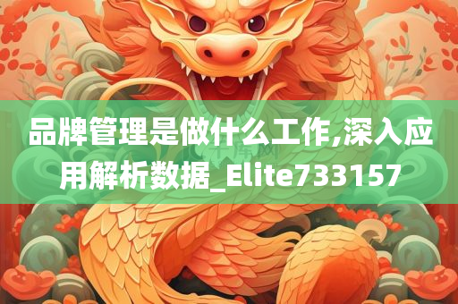 品牌管理是做什么工作,深入应用解析数据_Elite733157