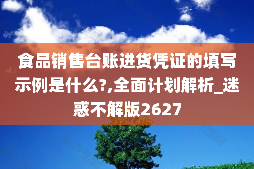 食品销售台账进货凭证的填写示例是什么?,全面计划解析_迷惑不解版2627