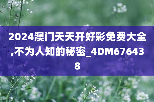 2024澳门天天开好彩免费大全,不为人知的秘密_4DM676438