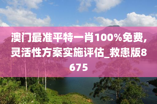 澳门最准平特一肖100%免费,灵活性方案实施评估_救患版8675