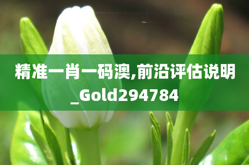 精准一肖一码澳,前沿评估说明_Gold294784