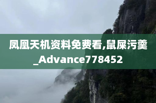 凤凰天机资料免费看,鼠屎污羹_Advance778452