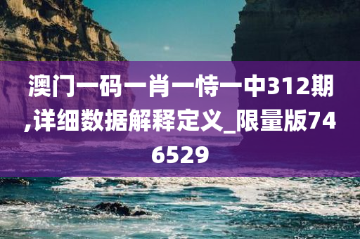 澳门一码一肖一恃一中312期,详细数据解释定义_限量版746529