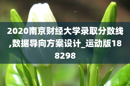 2020南京财经大学录取分数线,数据导向方案设计_运动版188298