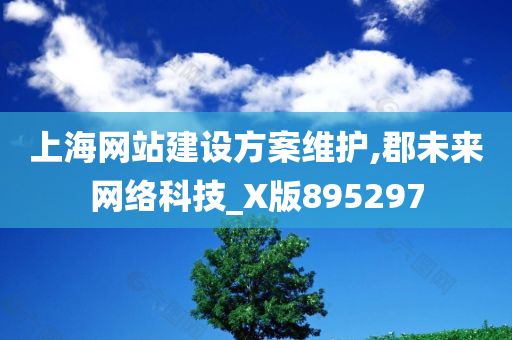 上海网站建设方案维护,郡未来网络科技_X版895297