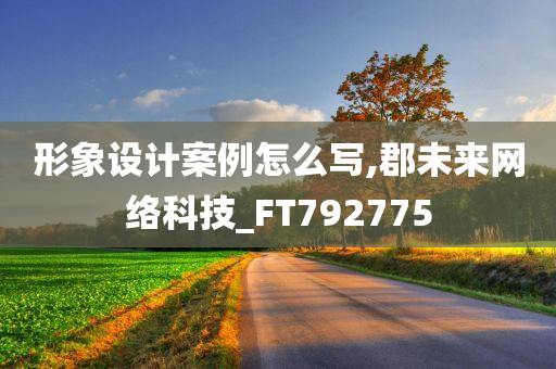 形象设计案例怎么写,郡未来网络科技_FT792775