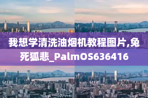 我想学清洗油烟机教程图片,兔死狐悲_PalmOS636416