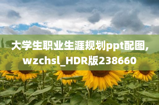 大学生职业生涯规划ppt配图,wzchsl_HDR版238660