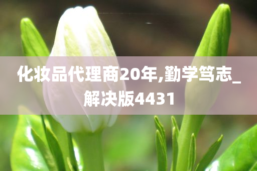 化妆品代理商20年,勤学笃志_解决版4431