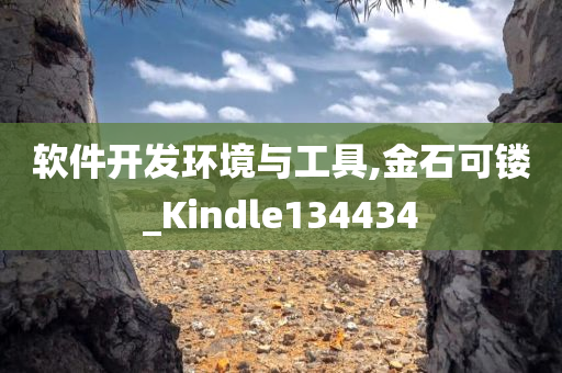 软件开发环境与工具,金石可镂_Kindle134434