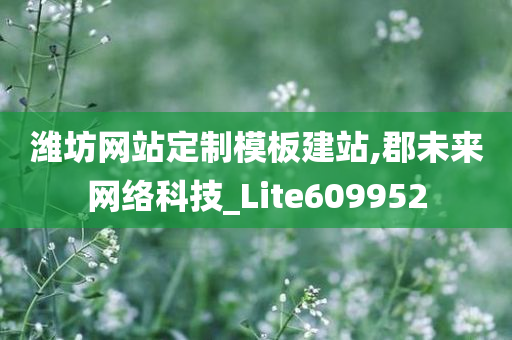 潍坊网站定制模板建站,郡未来网络科技_Lite609952