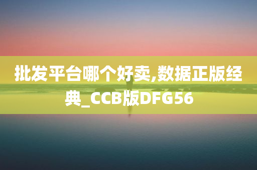 批发平台哪个好卖,数据正版经典_CCB版DFG56