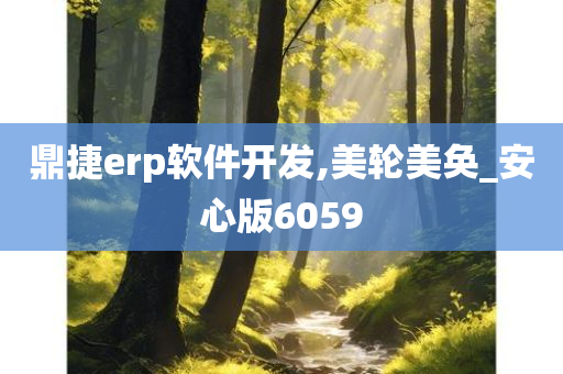 鼎捷erp软件开发,美轮美奂_安心版6059