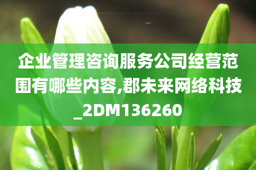 企业管理咨询服务公司经营范围有哪些内容,郡未来网络科技_2DM136260