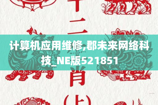 计算机应用维修,郡未来网络科技_NE版521851