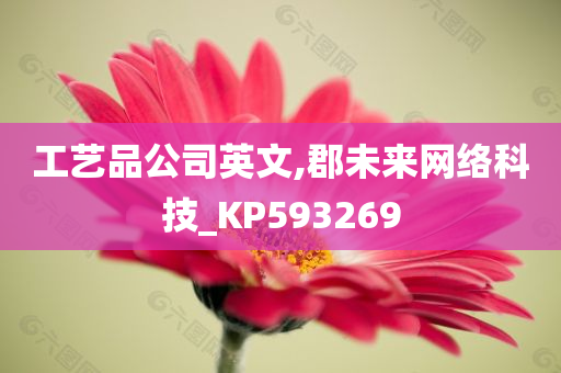 工艺品公司英文,郡未来网络科技_KP593269