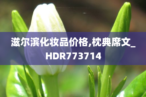 滋尔滨化妆品价格,枕典席文_HDR773714