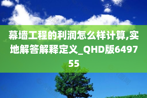 幕墙工程的利润怎么样计算,实地解答解释定义_QHD版649755