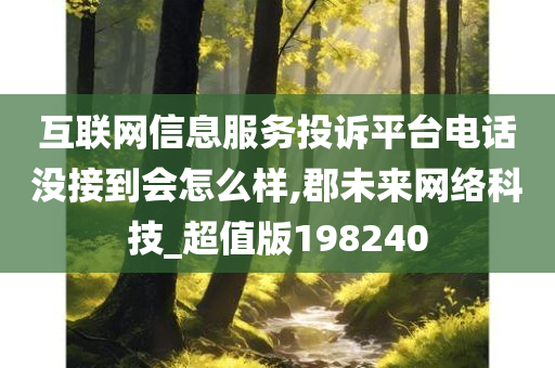 互联网信息服务投诉平台电话没接到会怎么样,郡未来网络科技_超值版198240