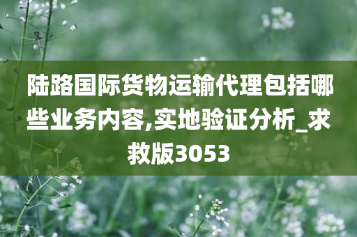 陆路国际货物运输代理包括哪些业务内容,实地验证分析_求救版3053