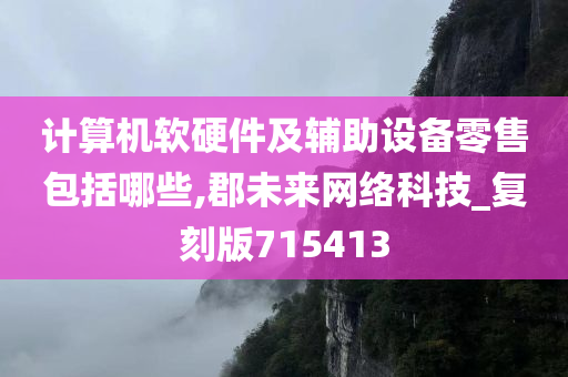 计算机软硬件及辅助设备零售包括哪些,郡未来网络科技_复刻版715413