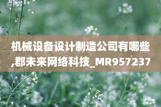 机械设备设计制造公司有哪些,郡未来网络科技_MR957237