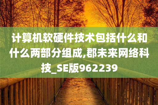 计算机软硬件技术包括什么和什么两部分组成,郡未来网络科技_SE版962239