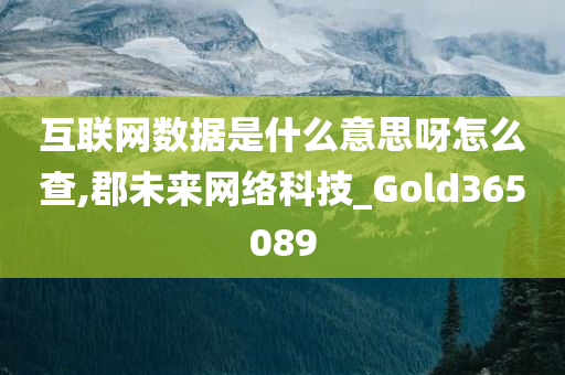 互联网数据是什么意思呀怎么查,郡未来网络科技_Gold365089