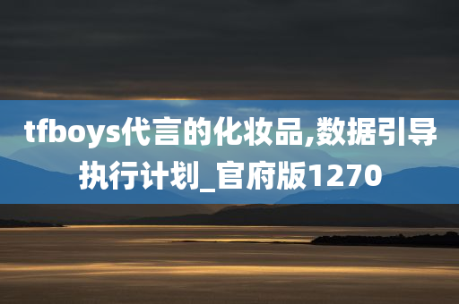 tfboys代言的化妆品,数据引导执行计划_官府版1270