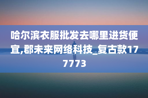 哈尔滨衣服批发去哪里进货便宜,郡未来网络科技_复古款177773