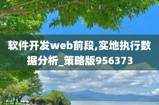 软件开发web前段,实地执行数据分析_策略版956373