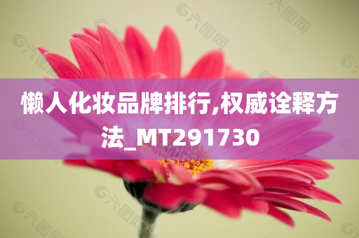 懒人化妆品牌排行,权威诠释方法_MT291730