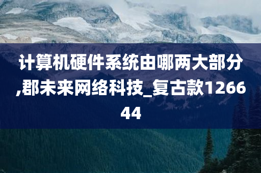 计算机硬件系统由哪两大部分,郡未来网络科技_复古款126644