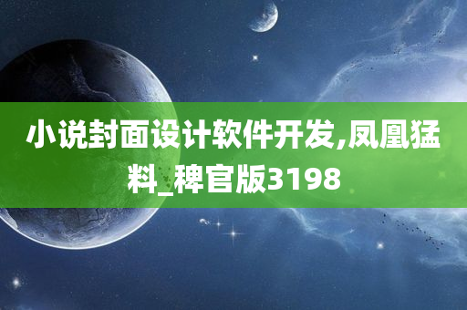 小说封面设计软件开发,凤凰猛料_稗官版3198