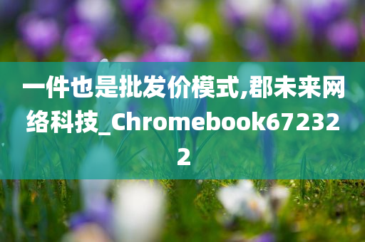 一件也是批发价模式,郡未来网络科技_Chromebook672322